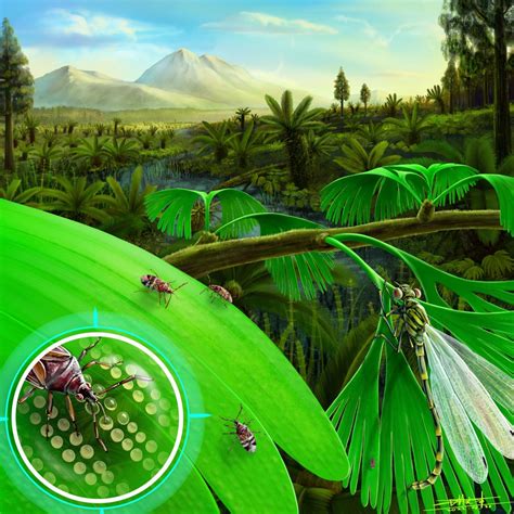 科学家发现2亿年前昆虫偷吃叶片内虫卵的证据_手机新浪网