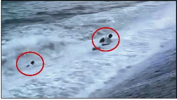 海岸游玩,两名游客被巨浪卷入海中 - 齐鲁晚报数字报刊
