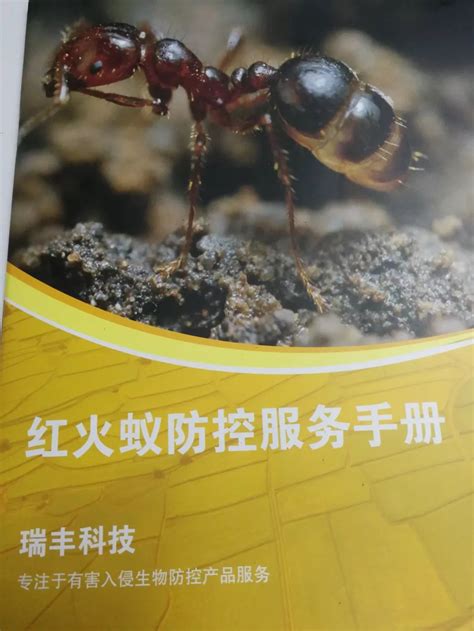 红火蚁技术方案_广州瑞丰生物科技有限公司