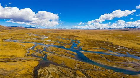 西藏那曲市多措并举保护麦地卡湿地生态_新华报业网