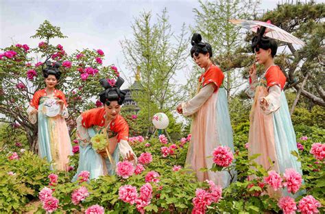 出圈的洛阳文旅惊艳2023年中国品牌博览会 - 河南省文化和旅游厅