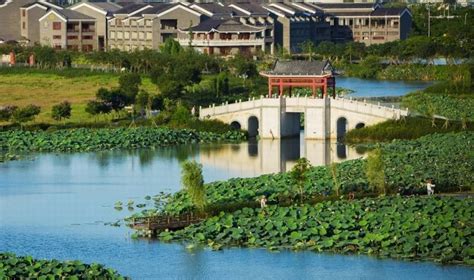 麻涌镇华阳湖国家湿地公园汇芳桥——【老百晓集桥】