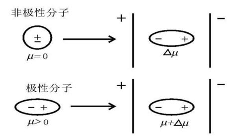 NML综述｜用于碱性析氢反应的异质结构型电催化剂-纳微科技