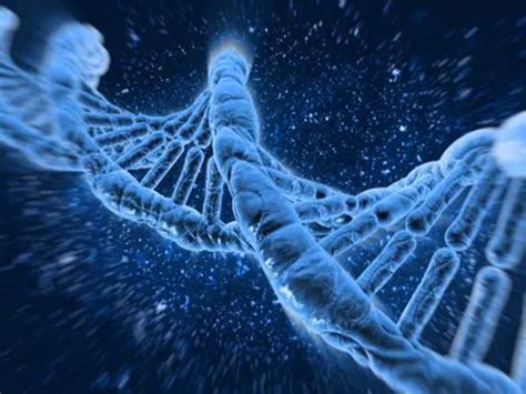 新人种即将出现？科学家发现：Y染色体正在消失|染色体|人类|男性_新浪新闻