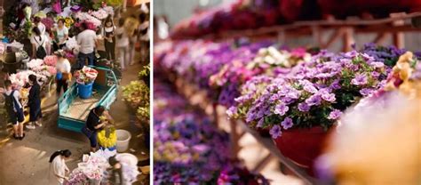逛遍北京这个鲜花市场，淘花送花攻略全在这里了！|花市|鲜花|王四营_新浪网