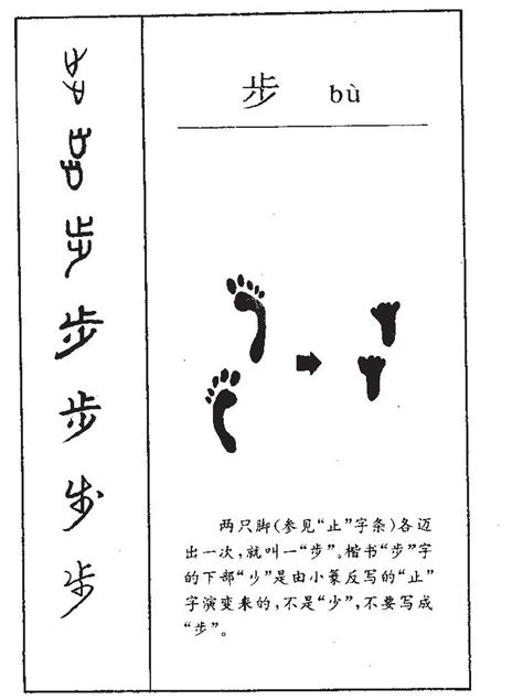 细说汉字“步”，步字的本义、步字演变及起源 - 细说汉字 - 辞洋