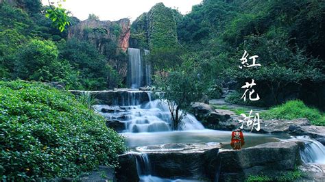 惠州乡村游上半年接待游客1986万人次 全省排名第三_地市新闻_广东省文化和旅游厅