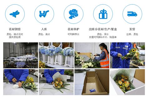 鲜花 - 案例展示 - 深圳市首信冷链物流有限公司