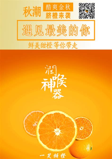 橙子赣南脐橙促销海报设计_红动网