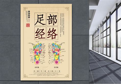肝胆经络图图片