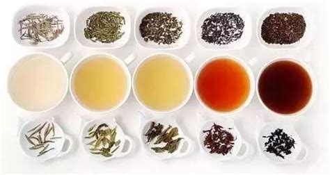 茶叶分哪些种类每种都有什么茶,绿茶属于什么茶 - 茶叶百科
