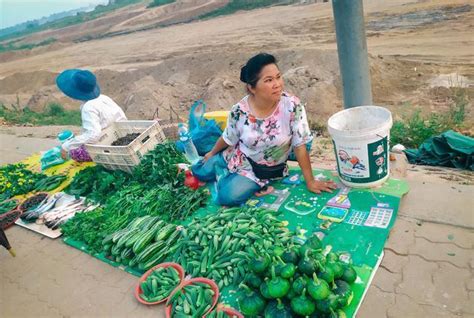 助力当地农业现代化，老挝首家中联重科农机旗舰店盛大开业 | 农机新闻网,农机新闻,农机,农业机械,拖拉机