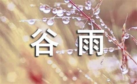 关于谷雨的谚语10篇-爱学网