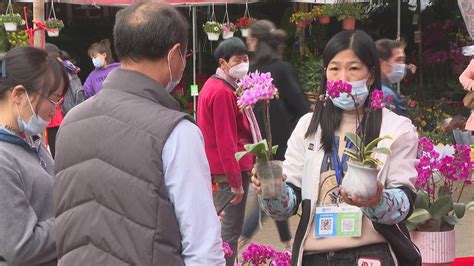 视频 | （我们的节日 精神的家园）市民除夕行花街、转大运 欢欢喜喜迎新年