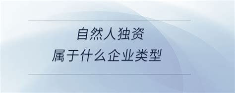 自然人独资属于什么企业类型_东奥会计在线