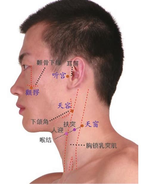肩膀上的经络图图片