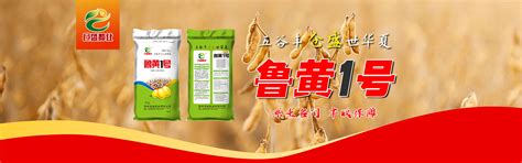 豆种产品展示-嘉祥腾飞种业有限公司