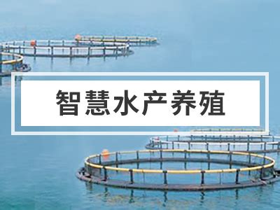 广州黄沙水产新市场设计出炉，推动多元化产业的商业休闲集群|集群|设计任务书_新浪新闻