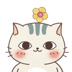 贱猫图片