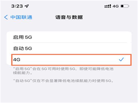 苹果13怎么把5g换成4g?苹果13设置4g网络方法介绍-下载之家