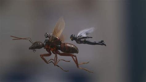 在《蚁人2》上映前，我们先看ht的《蚁人与黄蜂女》。|蚁人与黄蜂女|黄蜂|蚁人2_新浪新闻