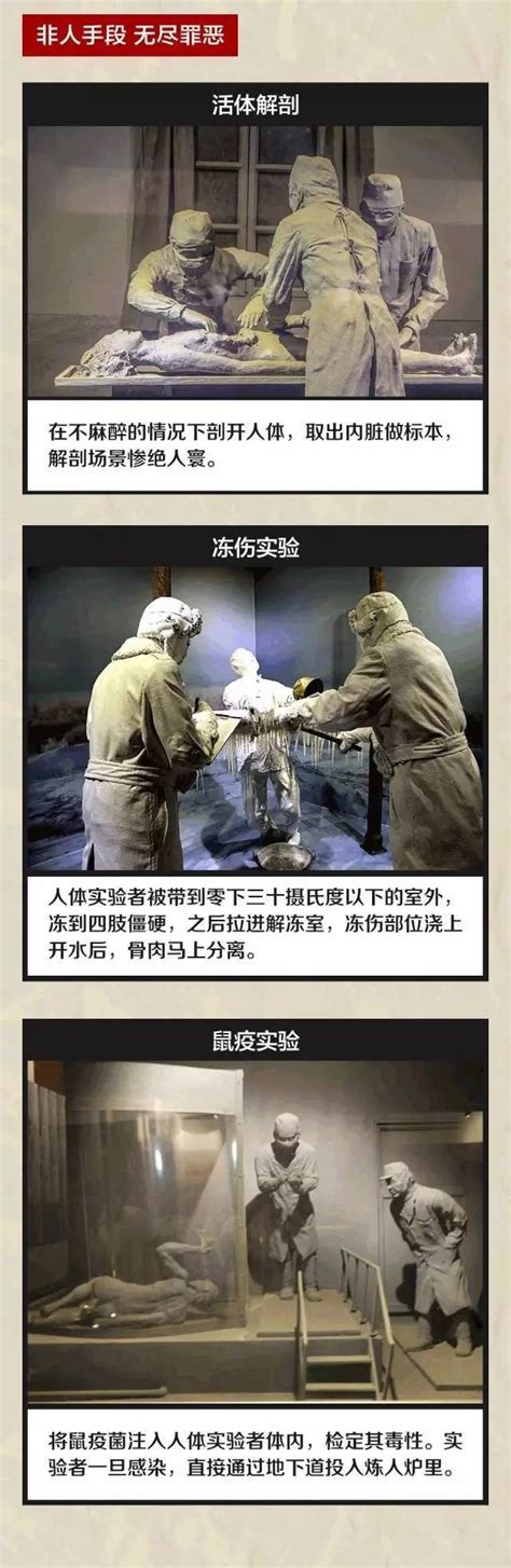 NHK播731部队纪录片 日本网友:应直视人间的“鬼”_新闻频道_中国青年网