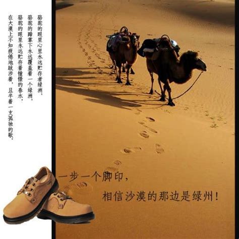 骆驼服饰 - 搜狗百科
