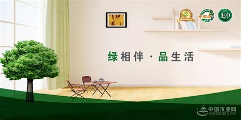 金贝绿 成就高档家具之“美”-中国木业网