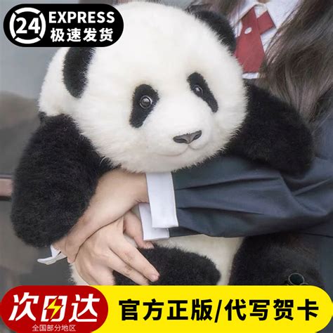 毛绒玩具成都大熊猫公仔国宝熊猫玩偶 儿童生日礼物抱枕娃娃批发-阿里巴巴