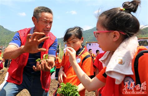 中国农业大学人发学院 新闻动态 农耕文化主题教育|人文与发展学院举办农事体验活动