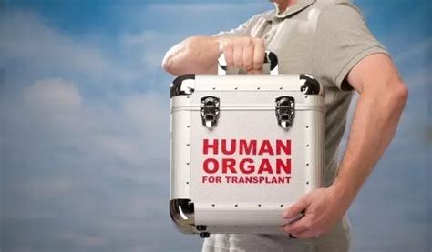“让人难以启齿”的中国器官移植 - 器官移植,捐献器官,器官捐献率,器官捐献志愿者