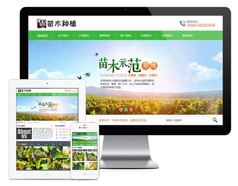 苗木种植企业网站建设|苗木网站模板-易优CMS