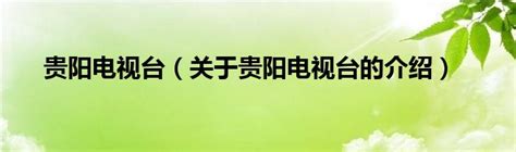 贵阳广播电视台推出三集广播连续剧——《向着光明奔跑》|向着光明奔跑|刘芳|广播_新浪新闻