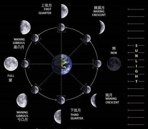为什么会发生十五的月亮十六圆？|朔望月|月相|恒星月_新浪新闻