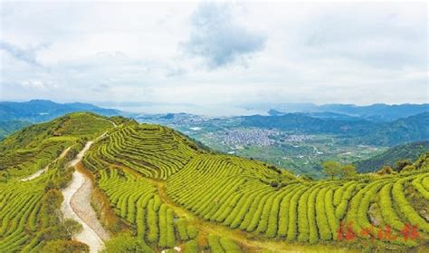 打得一手好“侨”牌 双第华侨农场侨民的幸福变迁 - 龙海市 - 东南网