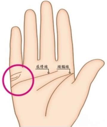 正确的子女线图解图片