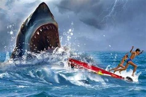 好莱坞灾难片《鲨海》来袭，深海逃出巨型鲨鱼口