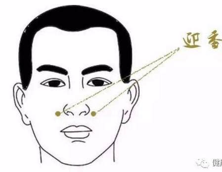 鼻通的准确位置图图片