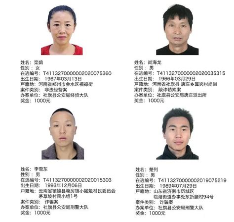 南阳警方发布通缉令，见到这9名男子请报警！每人1000元-大河新闻