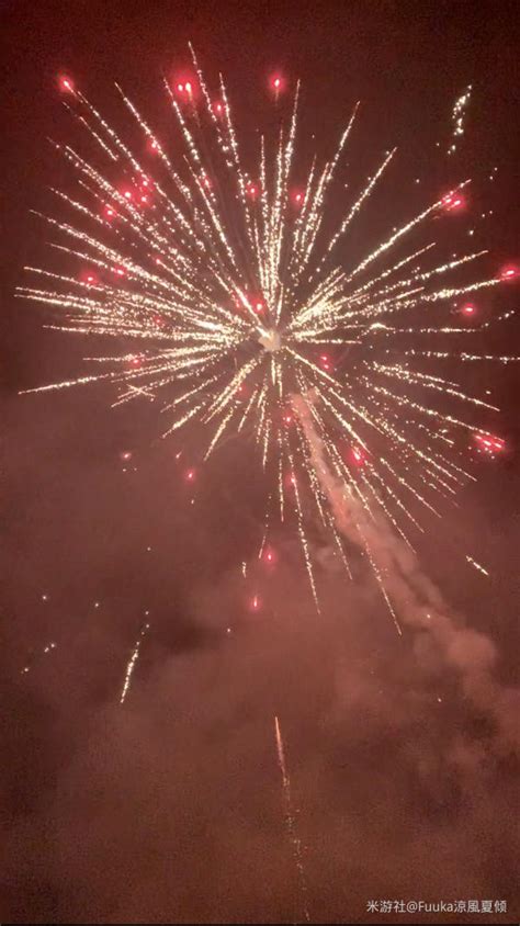 烟花易逝图片