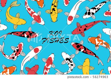 flyer with koi fishes - Stock Illustration [58274963] - PIXTA