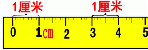 1分米等于多少厘米-1分米等于多少厘米,1,分米,等于,多少,厘米 - 早旭阅读
