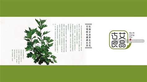上海三维IP形象设计报价 诚信为本「上海希施罗文化传播供应」 - 8684网企业资讯