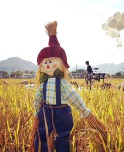 割稻子、扎稻草人、手动碾米，石湖荡今天举办首届农耕文化节_活动