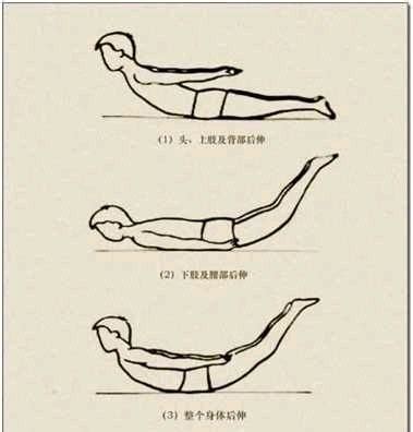 小燕飞标准动作图片 每天5分钟缓解颈胸腰部疼痛-春雨医生