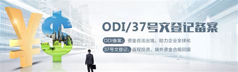 ODI备案(境外投资备案）的办理要求与流程详解-境外投资（ODI）备案-ODI境外投资备案网