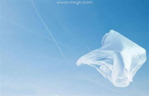 梦见白色塑料袋是什么意思预兆 - 原版周公解梦大全