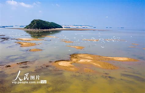 鄱阳湖水位突破12米 提前约50天结束枯水期（图）凤凰网江西_凤凰网