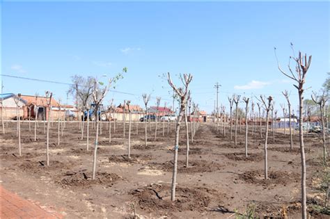 榆树：改善农村人居环境 推进绿色粮仓建设-中国吉林网