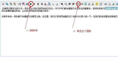 深圳网站建设系统锚文本的做法 - 信利信息